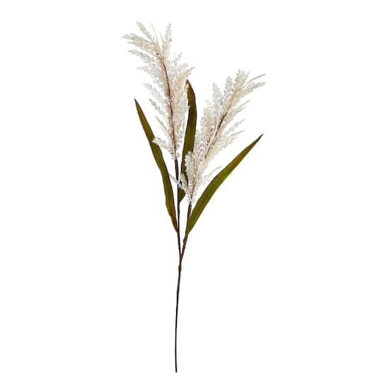 30" Cream Sorghum Harvest Spray, 12ct.